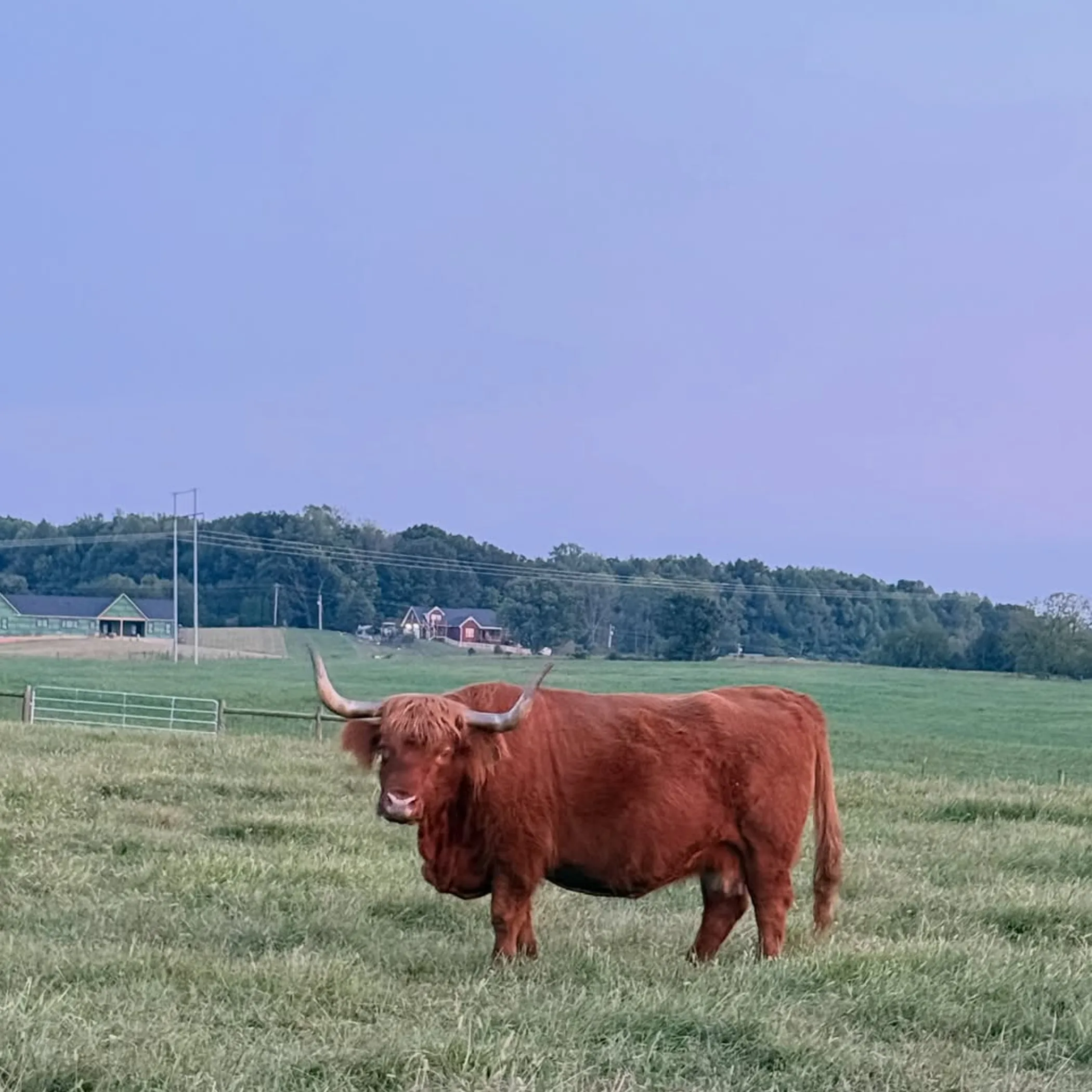 farm scene for agritourism visits