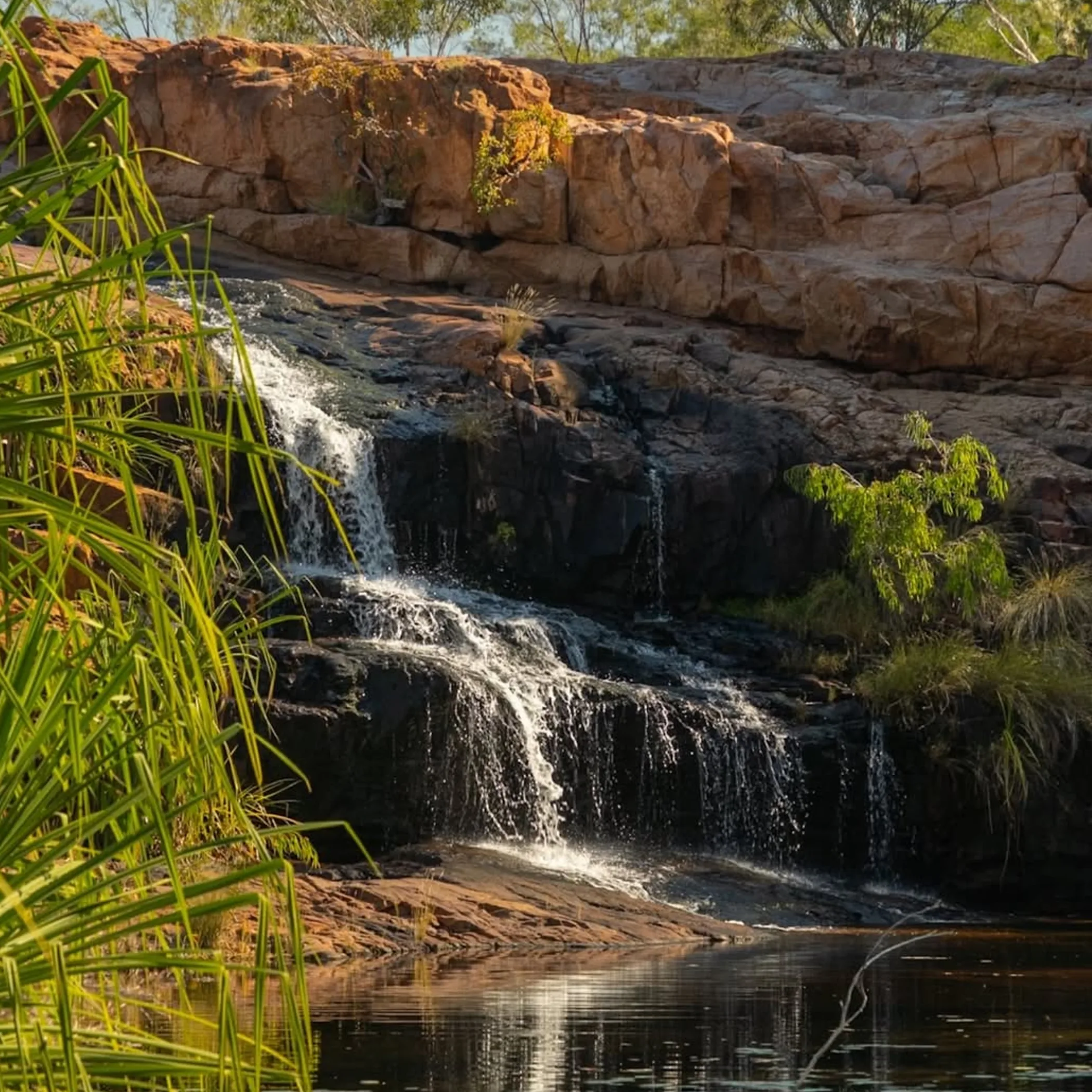 natural spring and waterfall