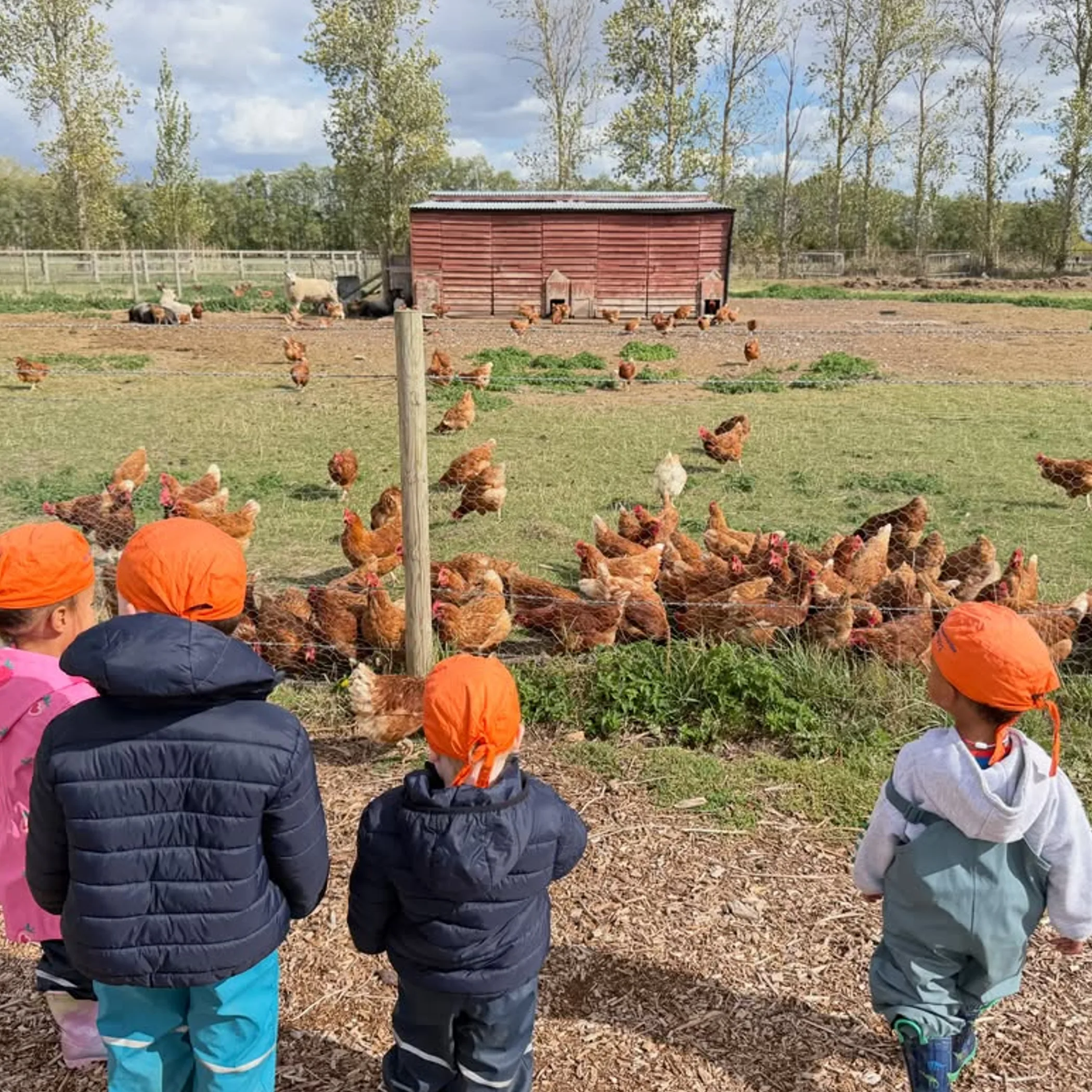 young visitors around farm animals